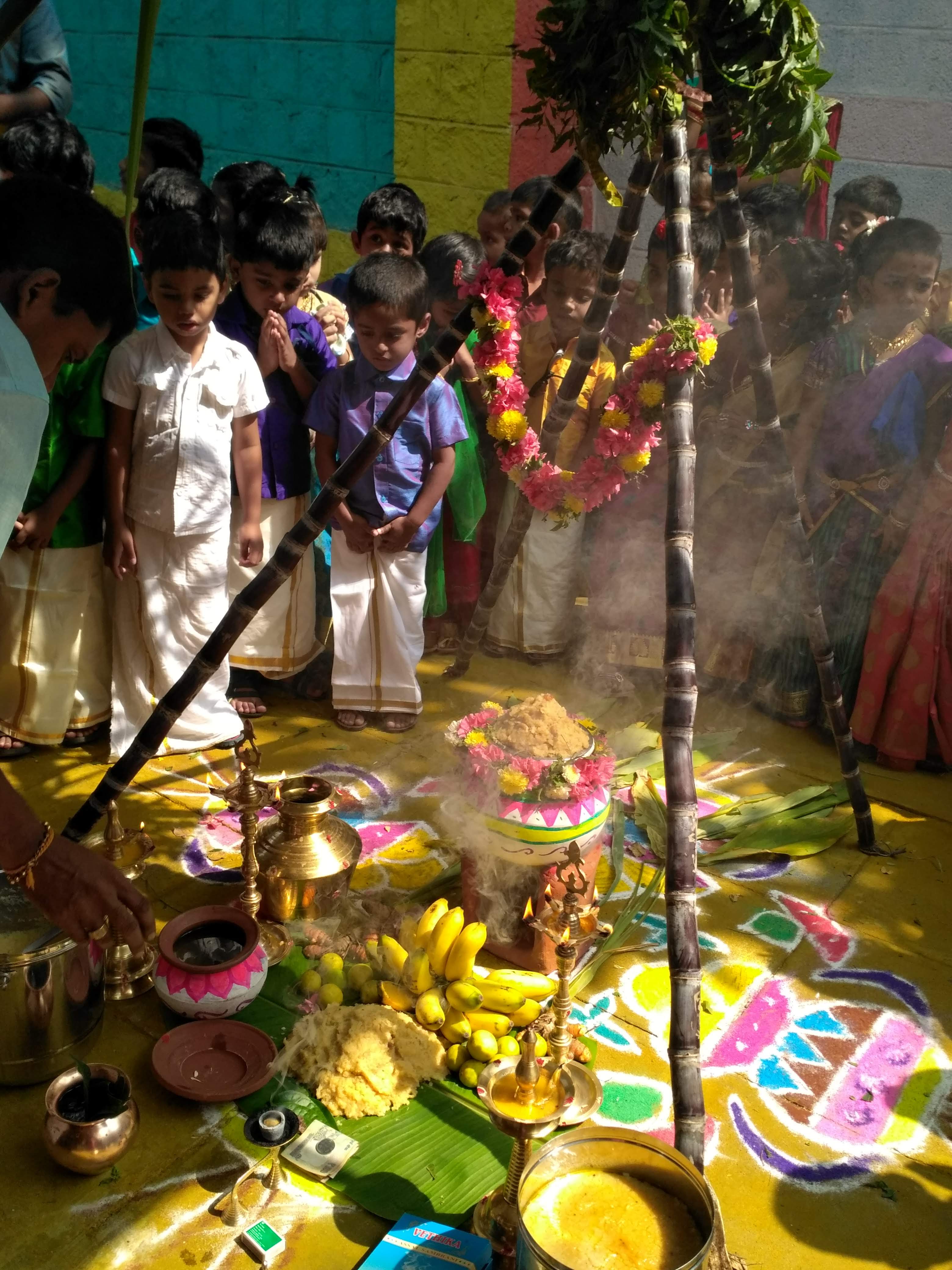 PONGAL CELEBRATION JAN - 2019